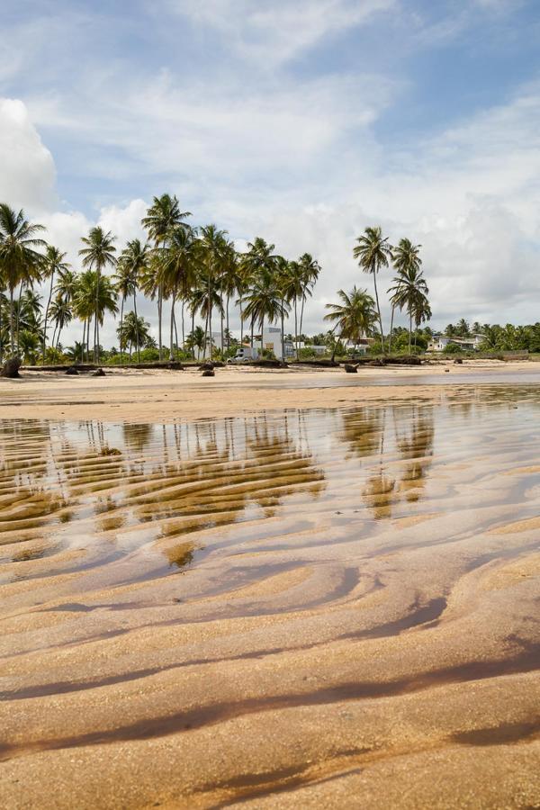 The Beach Hostel Milagres São Miguel dos Milagres エクステリア 写真